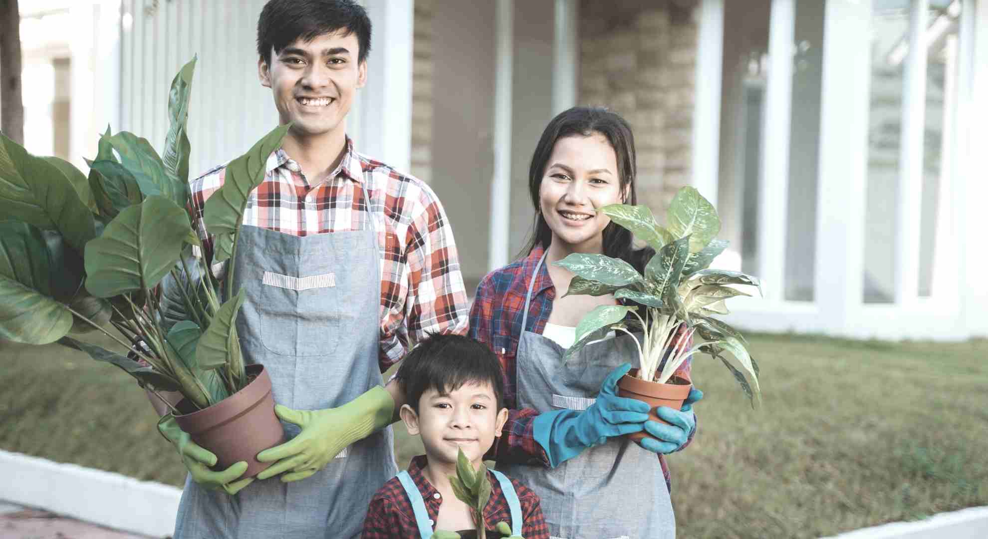 how-to-plan-your-bushfire-prone-landscape